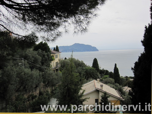 Scorcio su Portofino Scorcio su Portofino