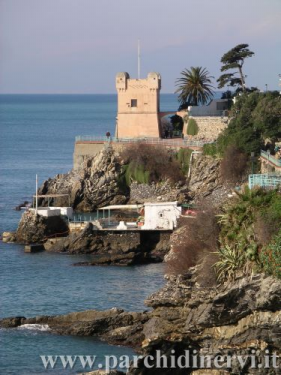Website_0019