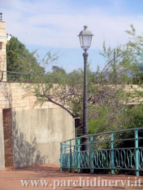 Website_0020