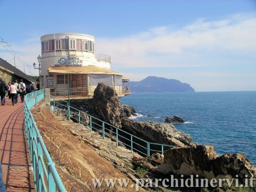 Website_0021