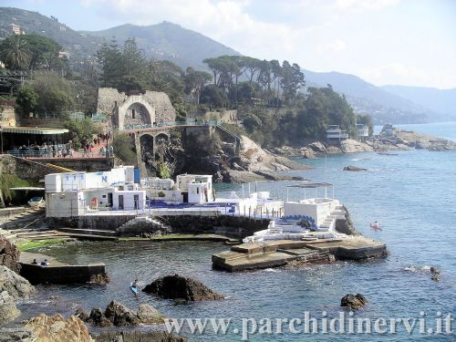 Website_0024