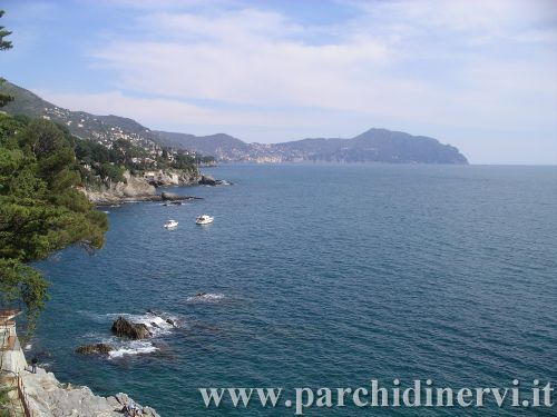 Website_0266