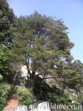 Website_0276