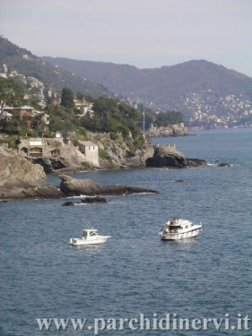 Website_0285