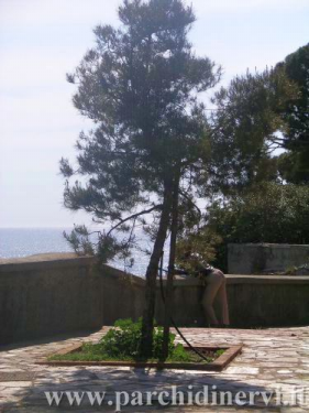 Website_0286