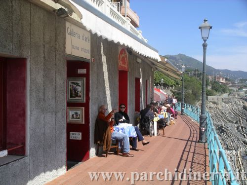 Website_0376