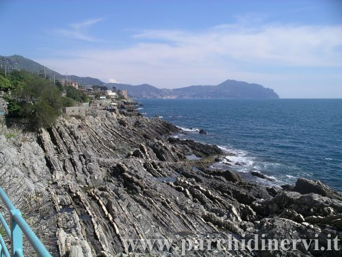 Website_0377