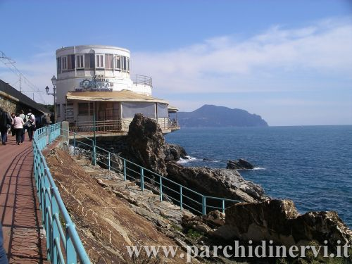 Website_0383