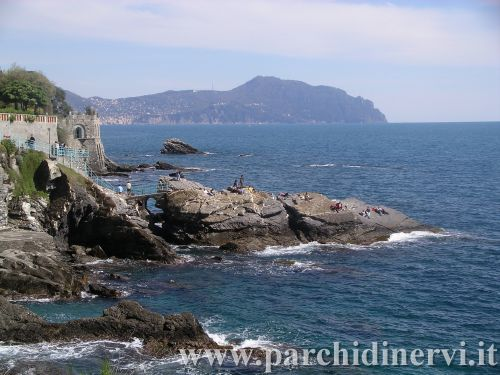 Website_0390