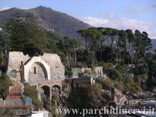 Website_0398