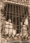 Website_0014