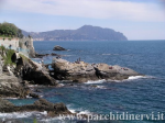 Website_0025