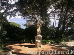 Website_0265