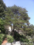 Website_0276