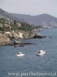 Website_0285