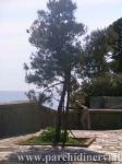 Website_0286