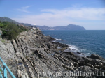 Website_0377