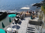 Website_0379