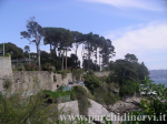 Website_0387