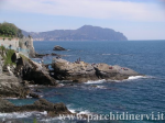 Website_0390