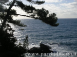 Website_0395