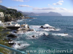 Website_0397